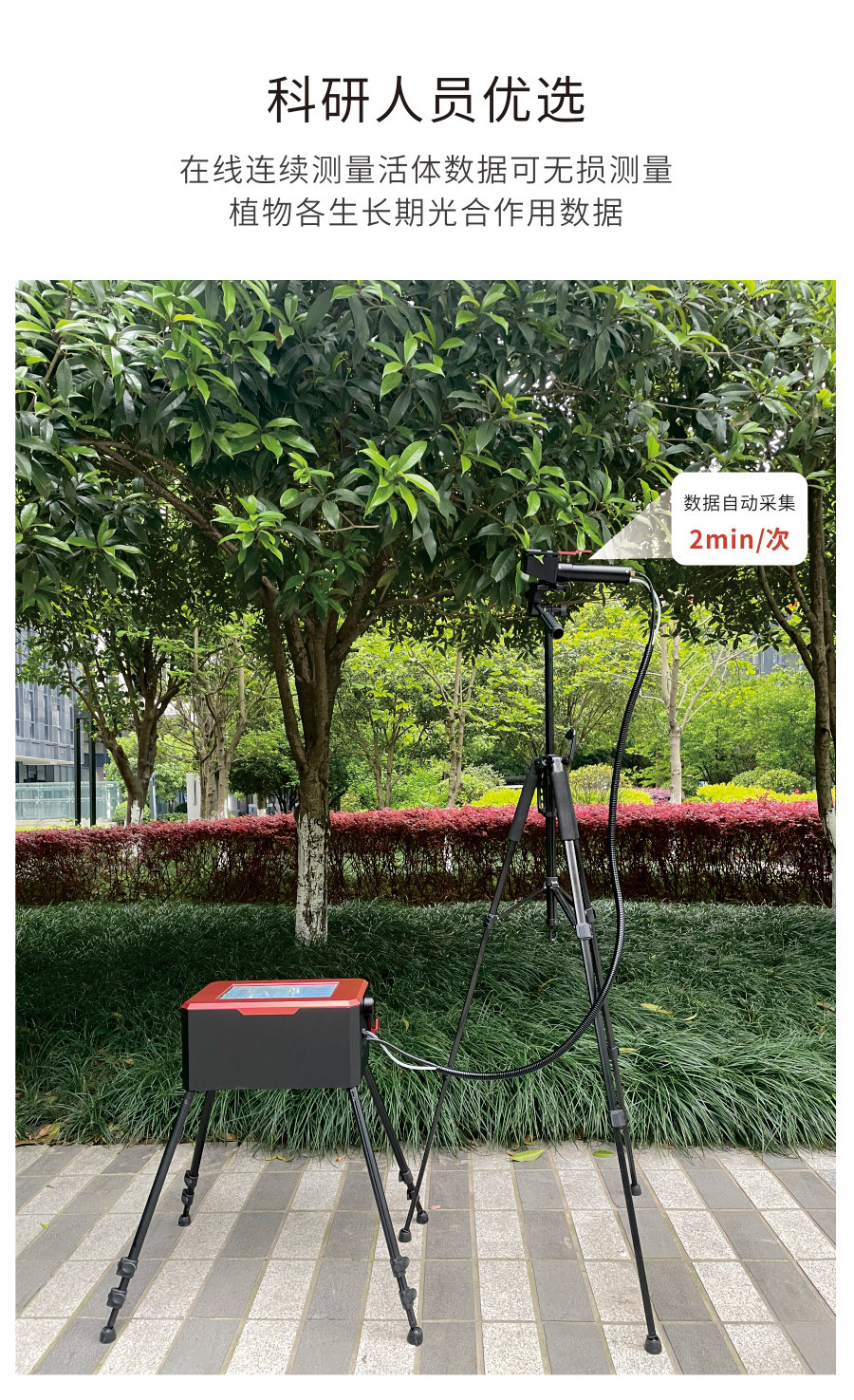 植物光合作用测定仪