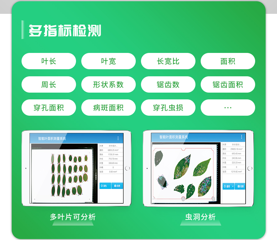 拍照式叶面积测量仪