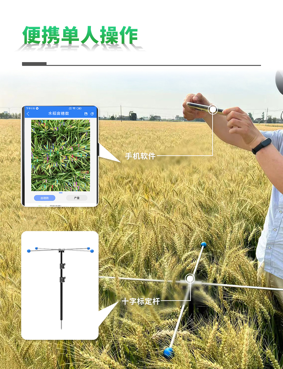 水稻亩穗数测量仪