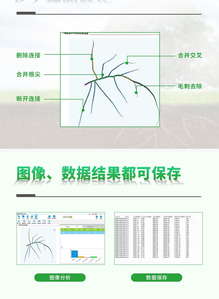 植物根系分析系统