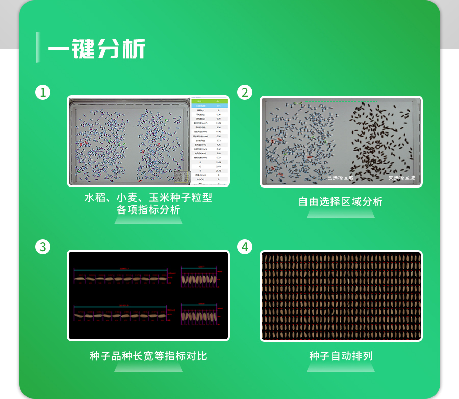 智能考种分析系统（精选款）