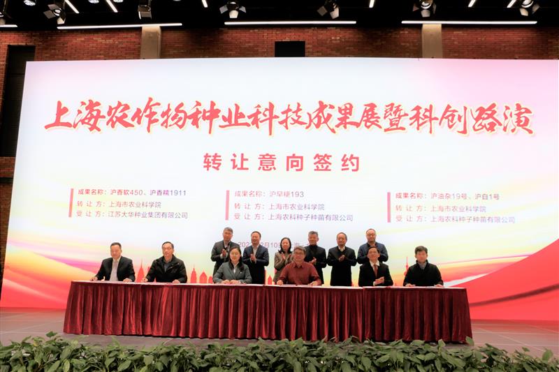上海市农科院一批粮油作物种业科技成果转化签约