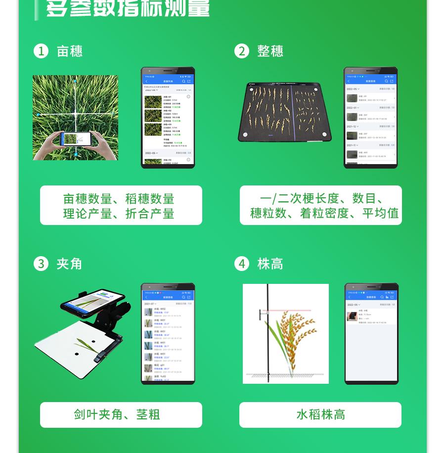 水稻表型检测仪