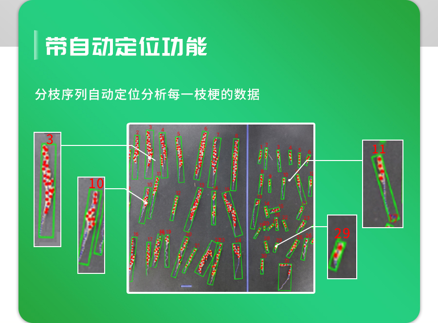 水稻整穗考种仪