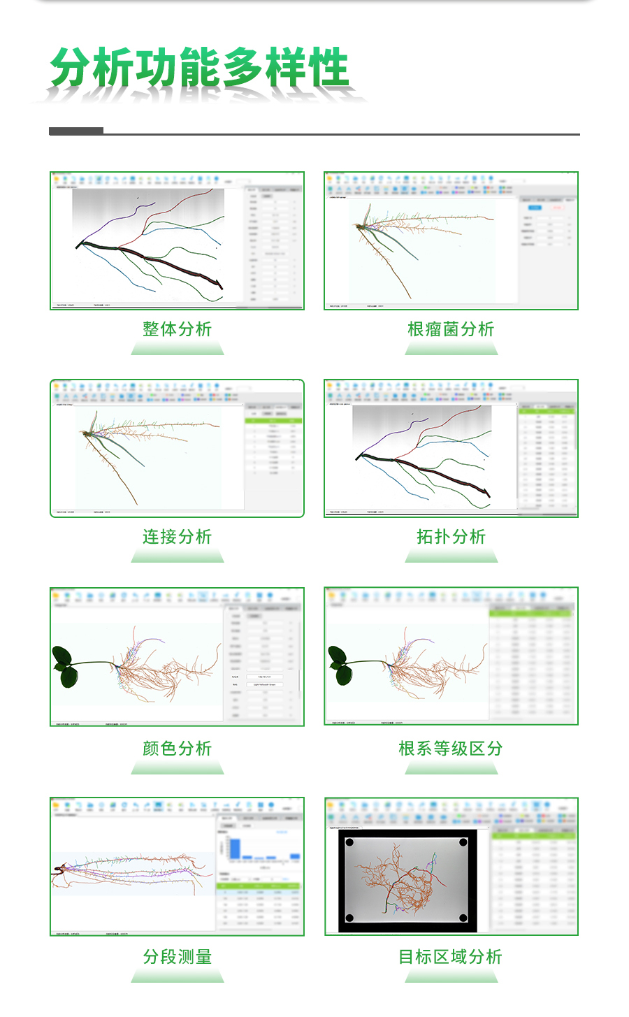 植物根系分析仪