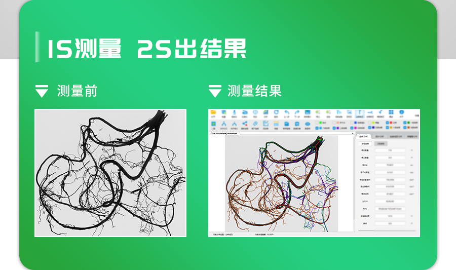 植物根系分析仪