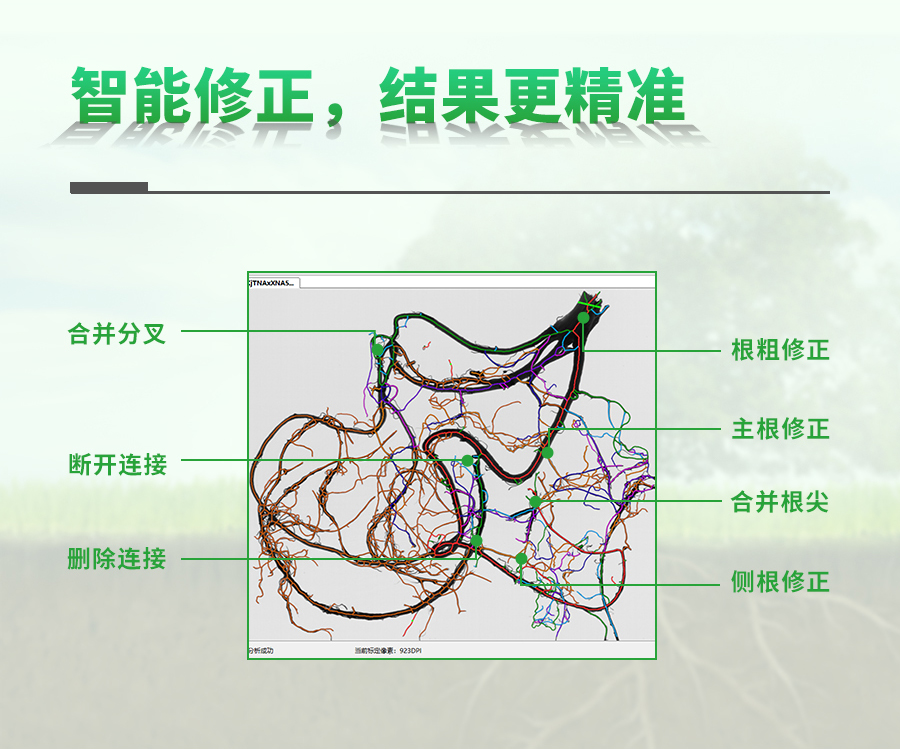 植物根系分析仪