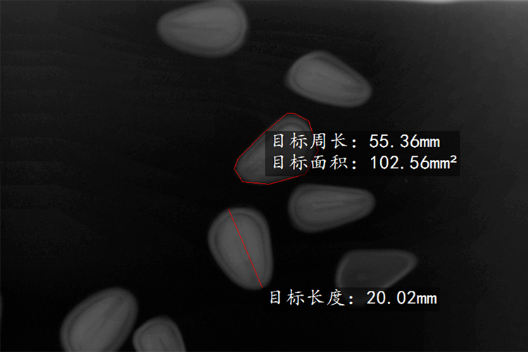 电脑种子X光机