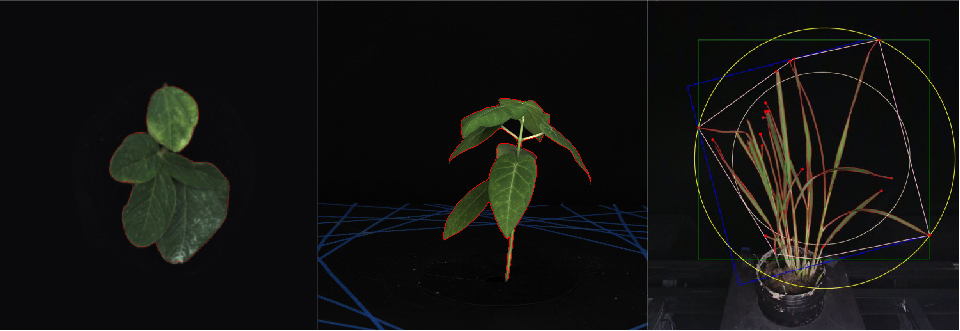 高通量植物表型采集分析平台