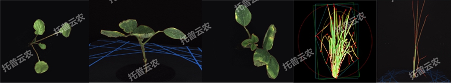 高通量逆境模拟及植物生长监测平台