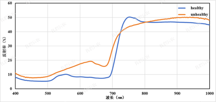 高光谱植物数字表型采集分析系统