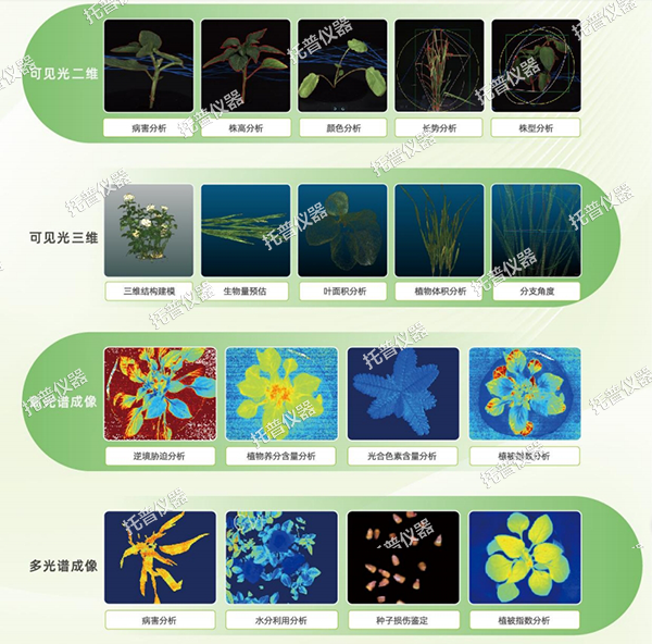 托普盆栽植物数字表型采集分析系统——一键采集，多维解析，AI 驱动农业科研提质增效