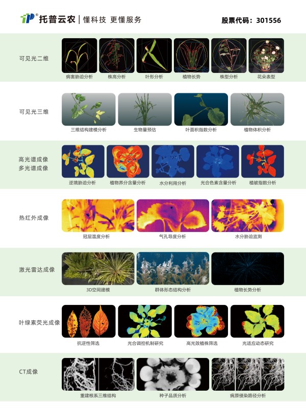 打造“AI+表型”新范式，托普云农“高通量植物表型智能分析平台”焕新上线！