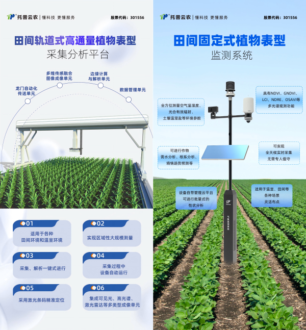 打造“AI+表型”新范式，托普云农“高通量植物表型智能分析平台”焕新上线！
