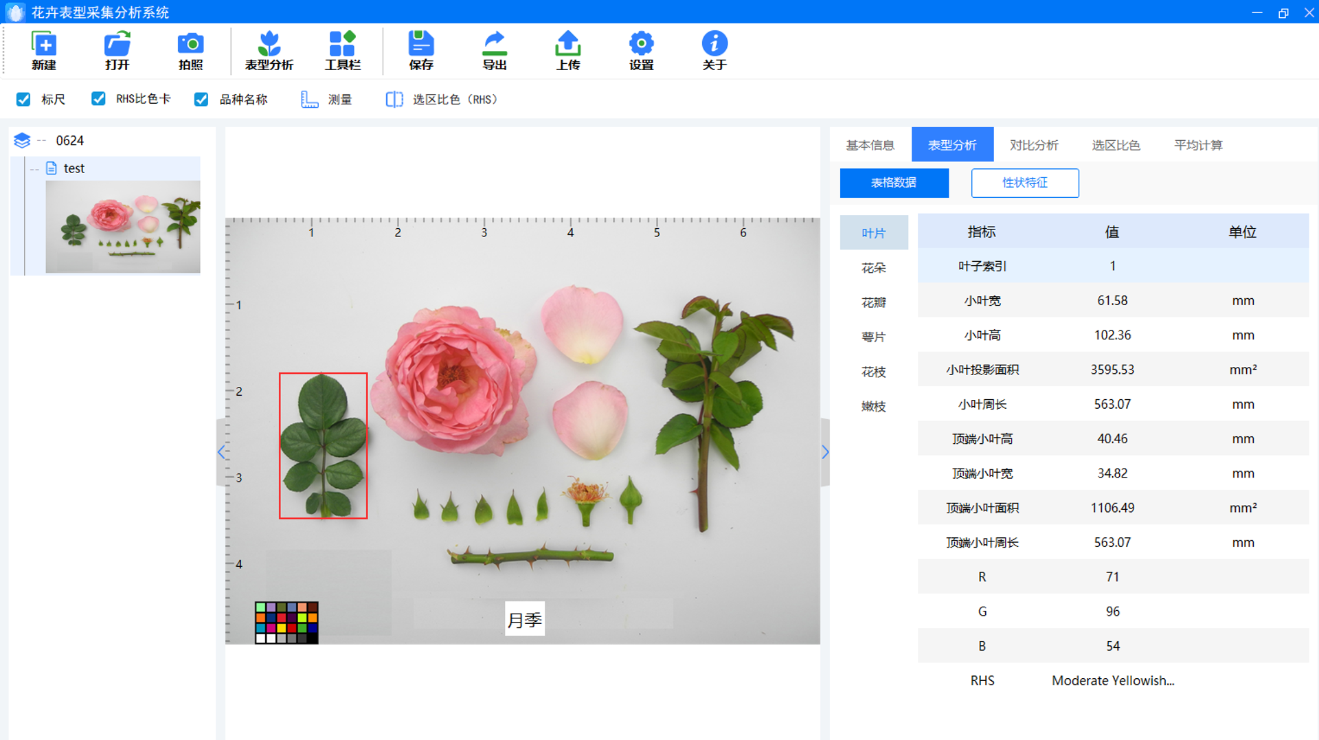 多功能植物表型采集分析系统