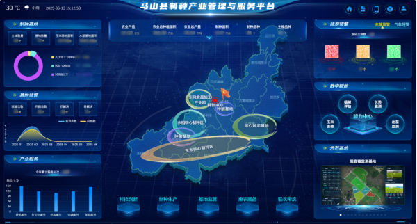 AI+农业 | 当种子植入“数智芯片”，马山县打造制种基地新标杆