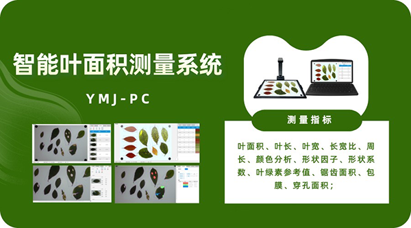 智能叶面积测量系统-高效完成大批量植株叶片表型参数的自动化测量