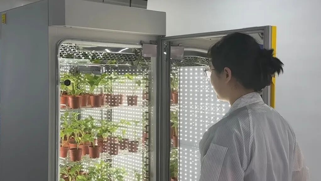 托普高精度培养箱：稳定实验环境，奠定成功基石