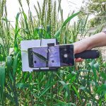 水稻茎粗-茎叶角自动测量仪