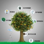 植物生理生态监测系统
