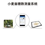 小麦亩穗数测量仪