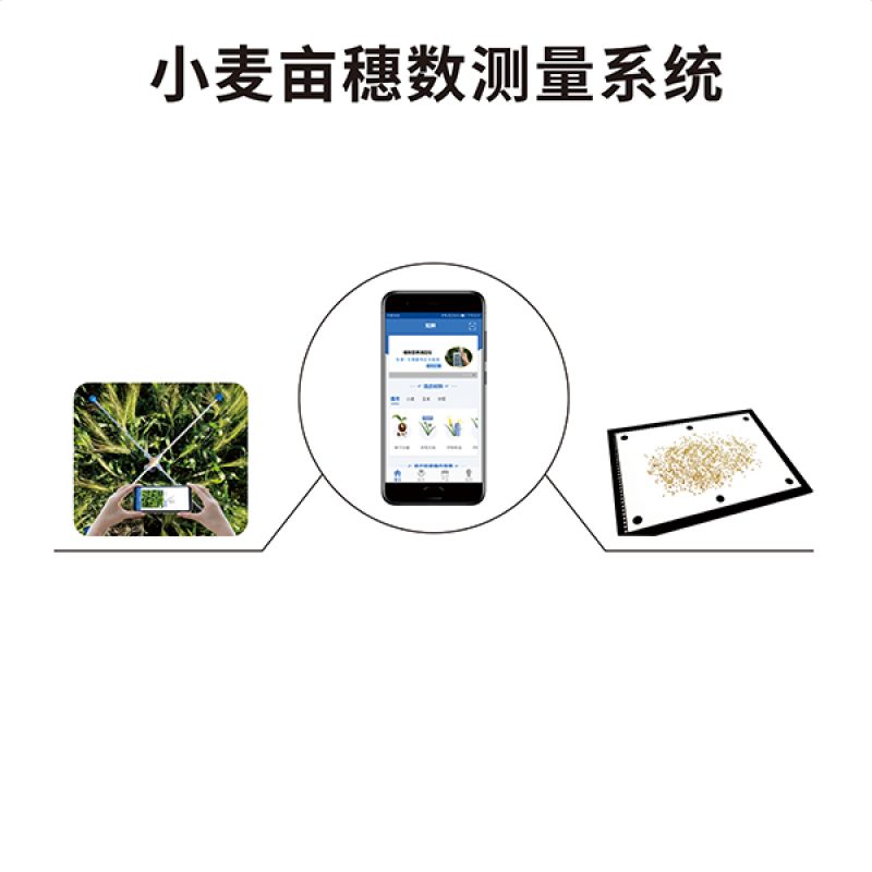 小麦亩穗数测量仪