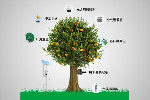 植物生理生态监测系统