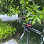 植物光合作用测定仪
