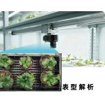 智能人工气候室