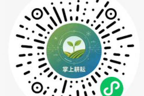 AI表型小程序