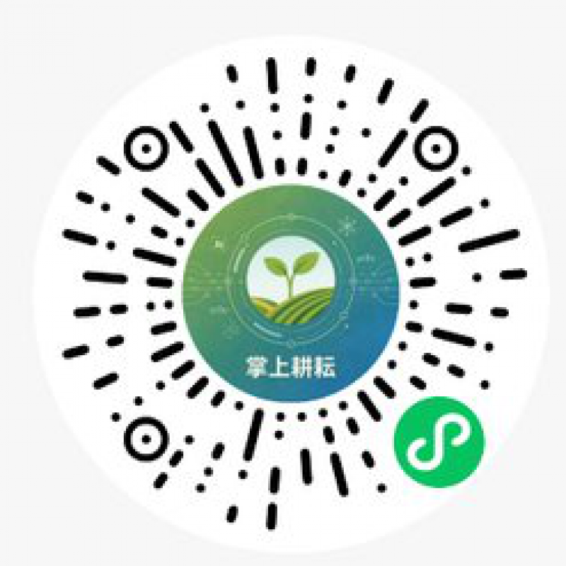 AI表型小程序