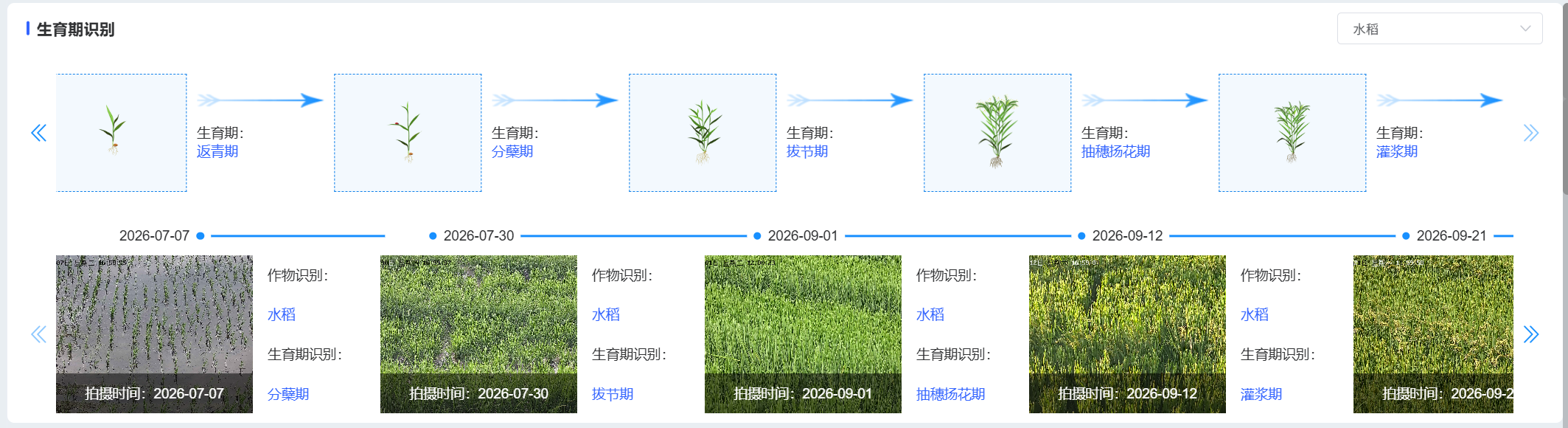 空地一体化AI农情试验观测站
