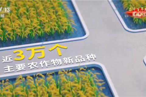 数说农业科研人员重要的天然实验室南繁基地