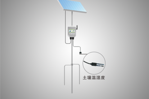 在线土壤水分温度测定仪