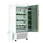 低温植物培养箱