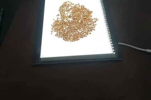【专家力荐】发现知种APP的魅力：更专业，更有针对性