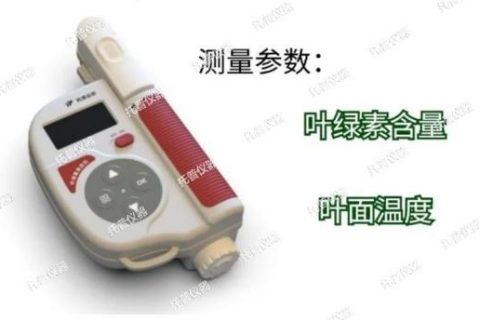托普叶绿素测定仪全新升级，助力植物叶片研究分析