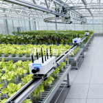 温室巡轨式表型采集分析系统