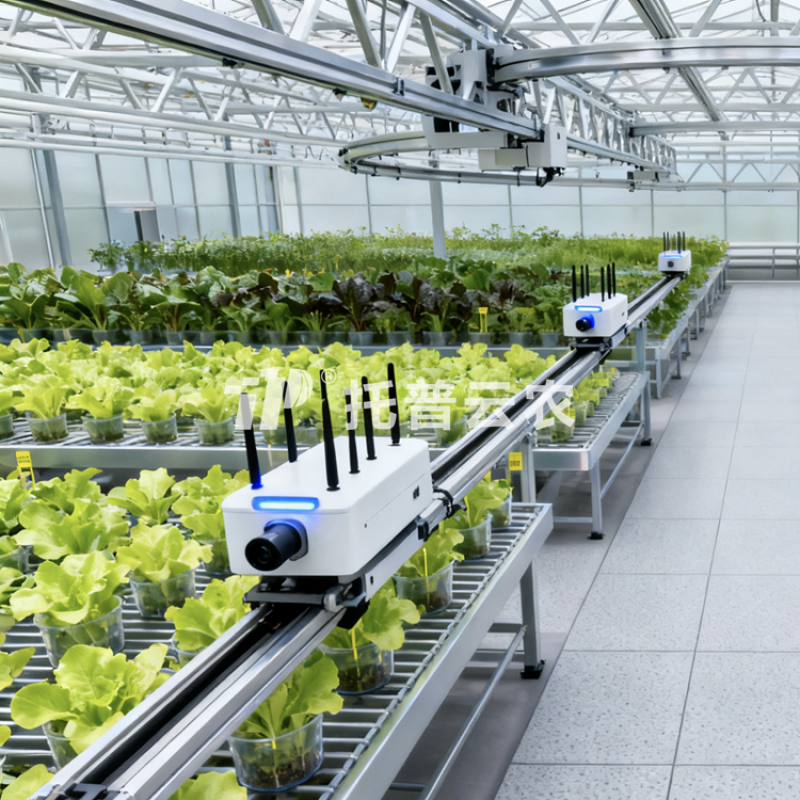 温室巡轨式表型采集分析系统