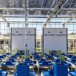 高通量植物表型采集分析平台