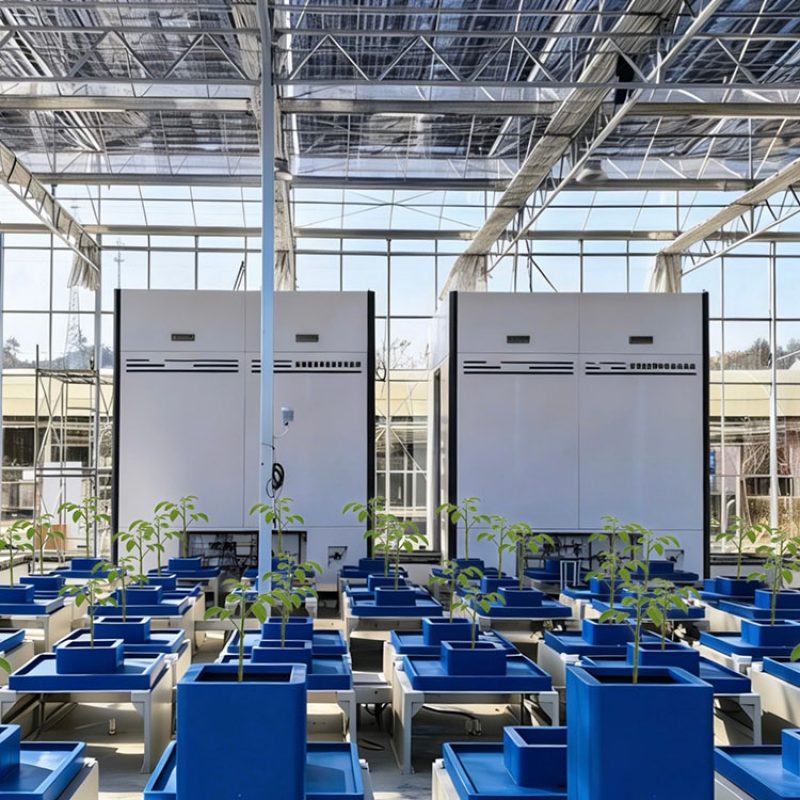 高通量植物表型采集分析平台