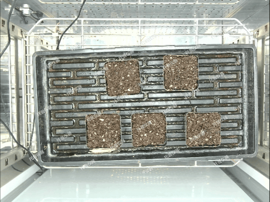 环控型植物活体影像分析仪