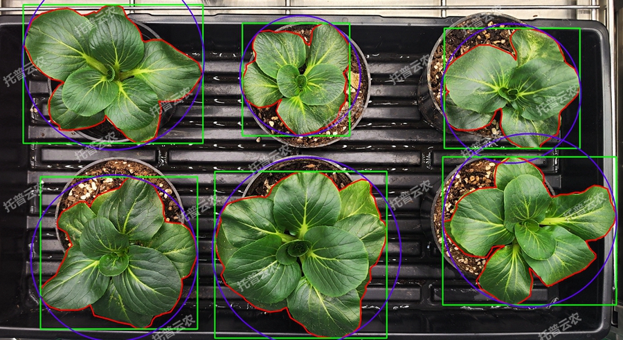 环控型植物生长表型分析系统