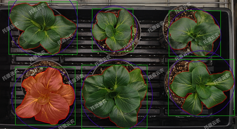 环控型植物生长表型分析系统