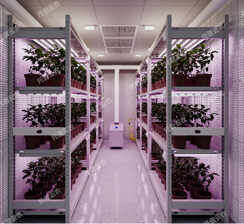 箱式型植物工厂