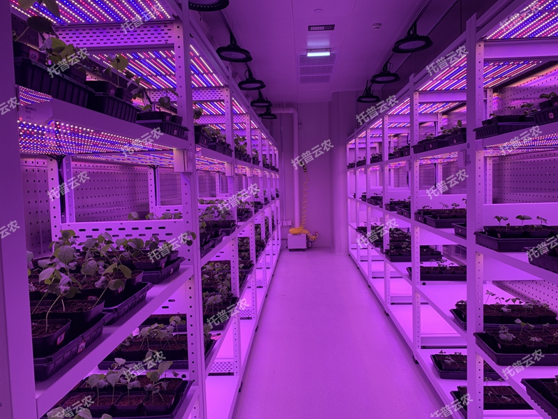 箱式型植物工厂