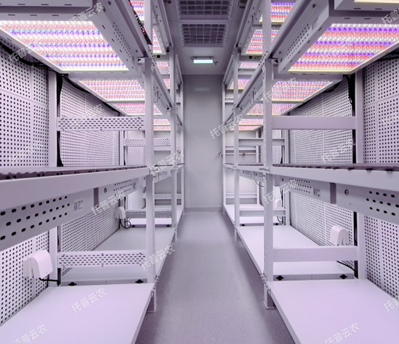箱式型植物工厂