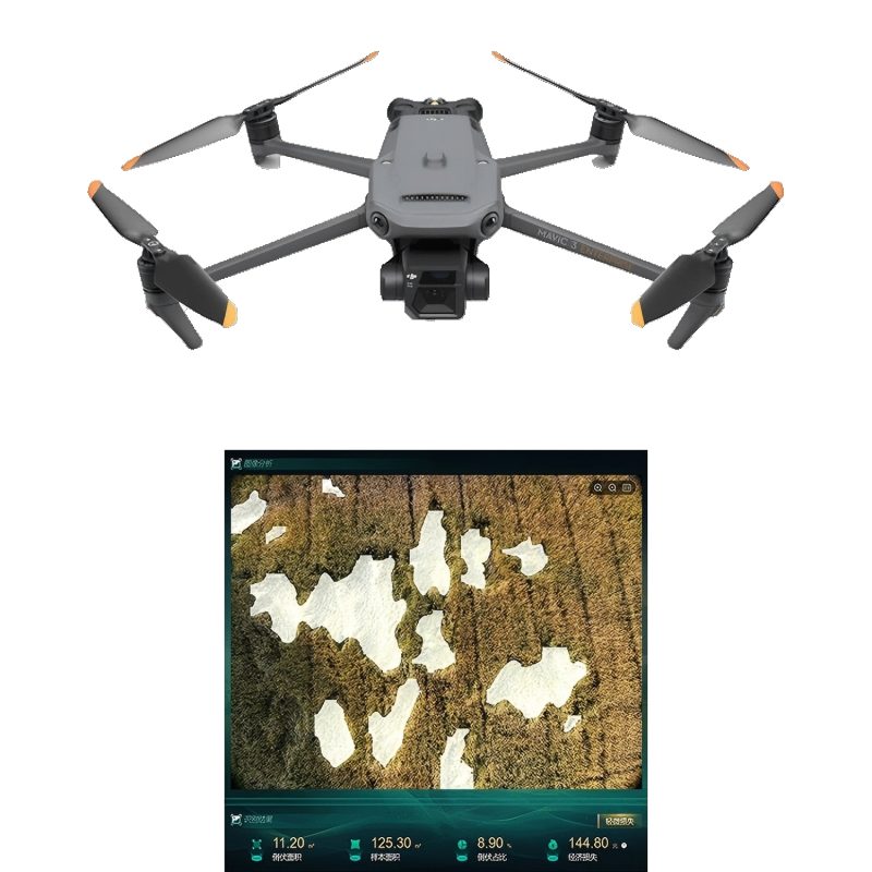 低空遥感植物表型分析系统