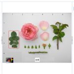 多功能植物表型采集分析系统