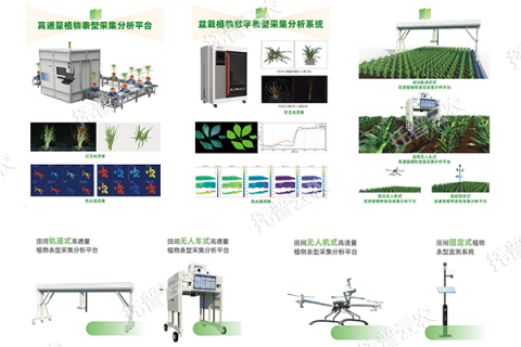 AI+农业新突破！托普高通量植物表型智能分析平台助力智慧农业创新发展